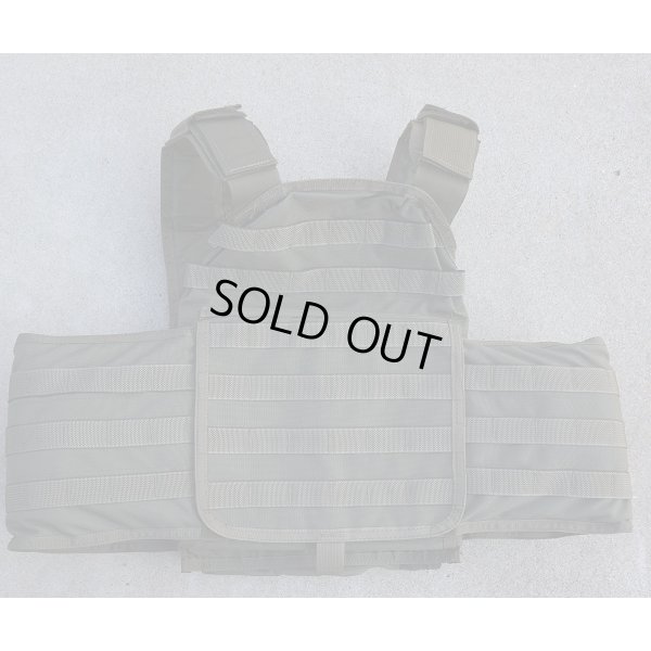 画像1: 英軍放出MSAパラクレイトSOHPCプレートキャリアSG LARGE