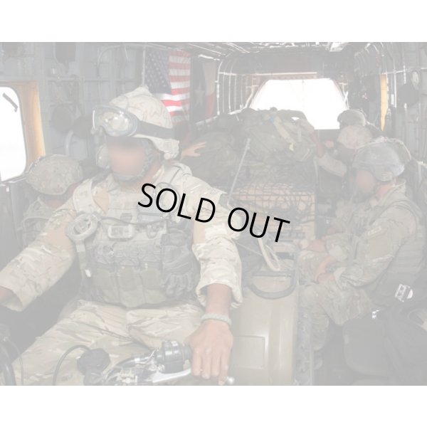 画像4: 英軍放出MSAパラクレイトSOHPCプレートキャリアSG LARGE