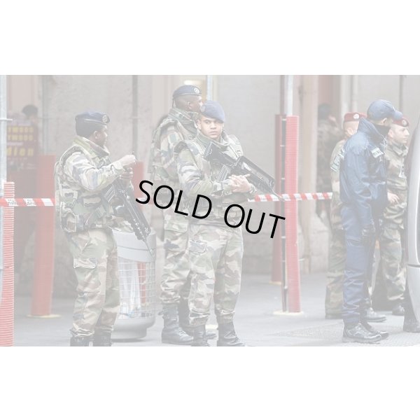 画像4: フランス軍CCE迷彩Serie 3ボディアーマーカバー サイズM.T.