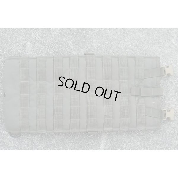 画像1: 米軍 イーグルRLCSハイドレーションポーチRG