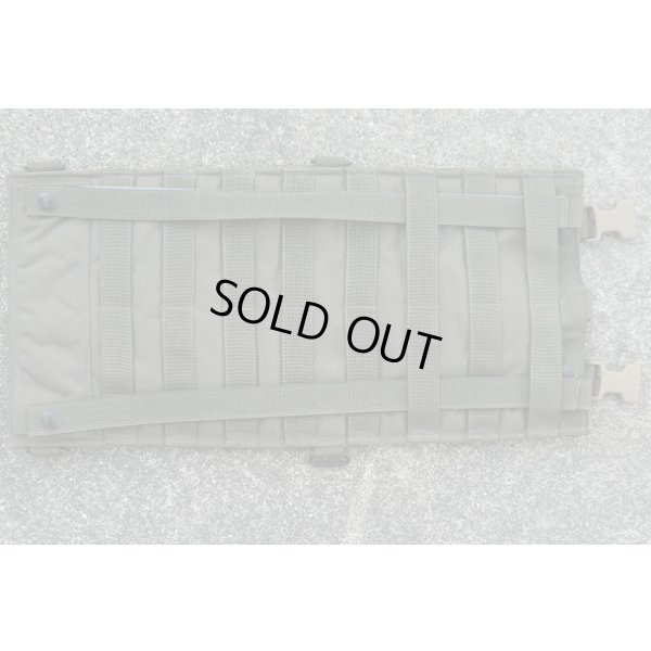 画像2: 米軍 イーグルRLCSハイドレーションポーチRG