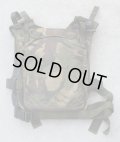 英軍DPM迷彩CQCプレートキャリア プレート2枚セット