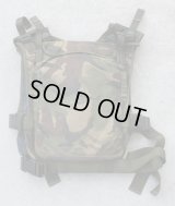 英軍DPM迷彩CQCプレートキャリア プレート2枚セット