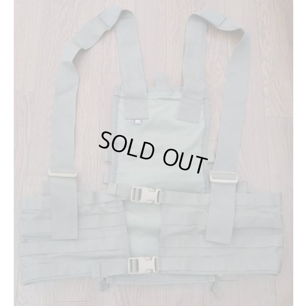 画像1: 米軍放出ダイヤモンドバック スプリットフロントチェストリグRG初期タグ品 新品