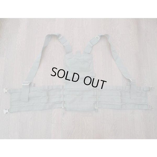 画像3: 米軍放出ダイヤモンドバック スプリットフロントチェストリグRG初期タグ品 新品