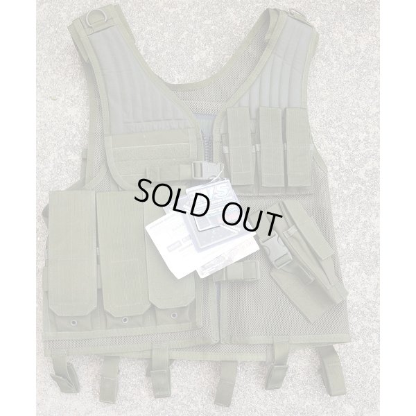 画像1: 米陸軍特殊部隊放出？ ブラックホークOMEGAクロスドロウベストOD新品