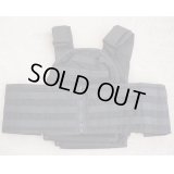 MSAパラクレイトHPCプレートキャリア黒MEDIUM新品