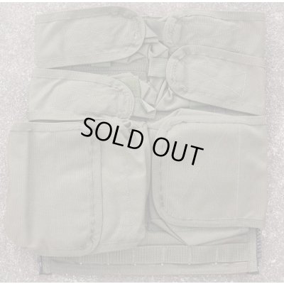 画像1: パラクレイト バックパネルSGプレMSAロット新品
