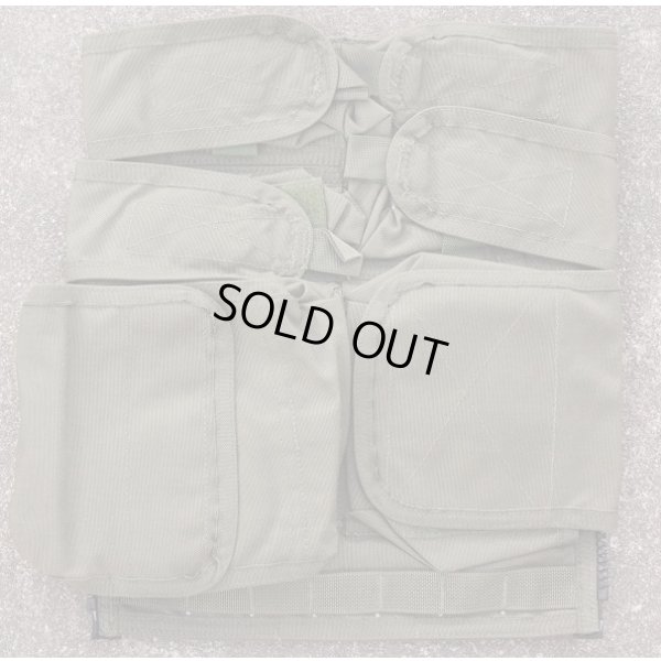 画像1: パラクレイト バックパネルSGプレMSAロット新品