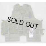 Tasmanian Tiger製アムニションベストOD 新品