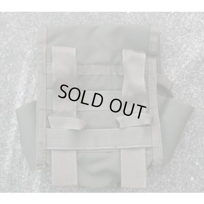 画像2: MSAパラクレイトNVGポーチSG新品