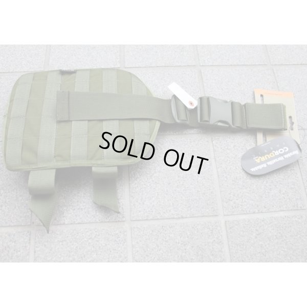 画像1: Tasmanian Tiger製レッグプラットホームOD新品