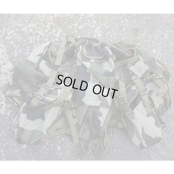 画像3: MIL-TEC SAAVアサルトベスト（P83型アサルトベスト）フランス軍CCE迷彩 新品