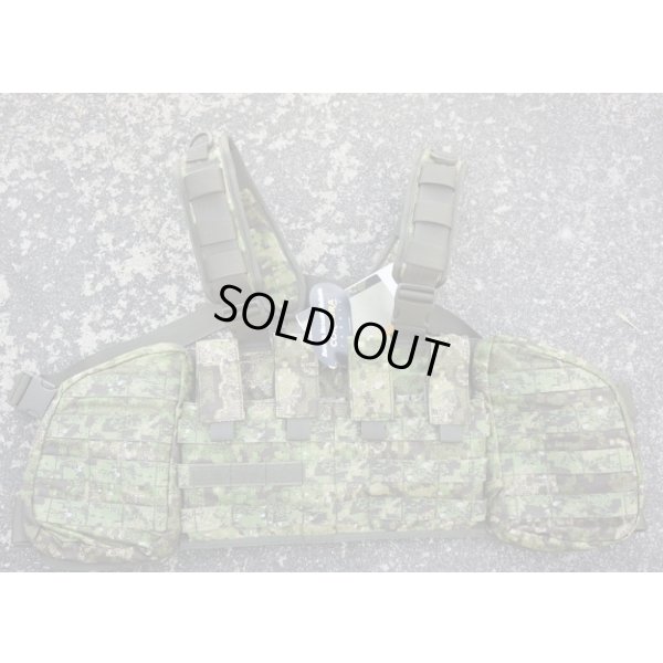 画像2: Tasmanian Tiger製チェストリグmkII PenCott Greenzone迷彩 新品