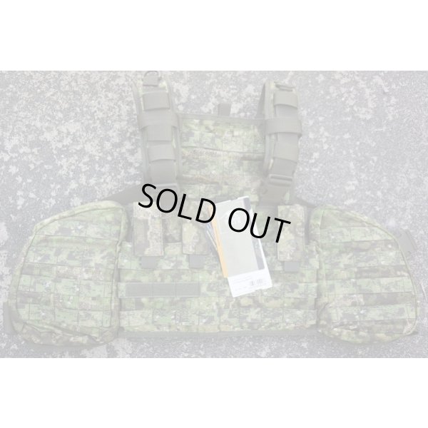 画像1: Tasmanian Tiger製チェストリグmkII PenCott Greenzone迷彩 新品