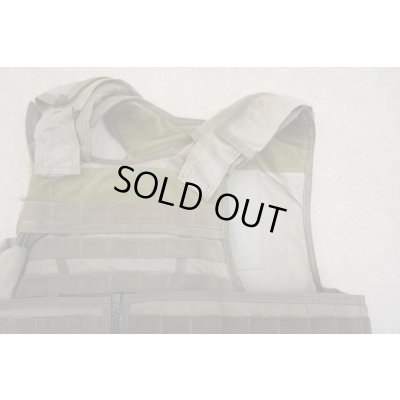 画像5: パラクレイトRAVボディアーマーSG Medium