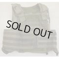 パラクレイトRAVボディアーマーSG Large