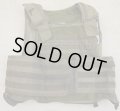 パラクレイトRAVボディアーマーSG Large
