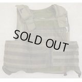 パラクレイトRAVボディアーマーSG Large