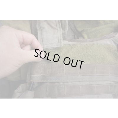 画像5: パラクレイトRAVボディアーマーSG Large