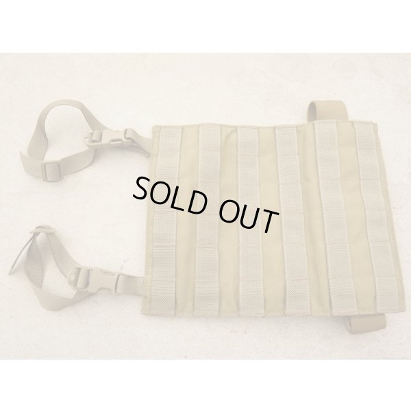 画像1: 米軍放出イーグル レッグパネル カーキ新品