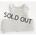 米CIA放出パラクレイトRAVボディアーマーSGプレMSAロットLARGE