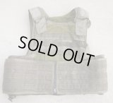 米CIA放出パラクレイトRAVボディアーマーSGプレMSAロットLARGE