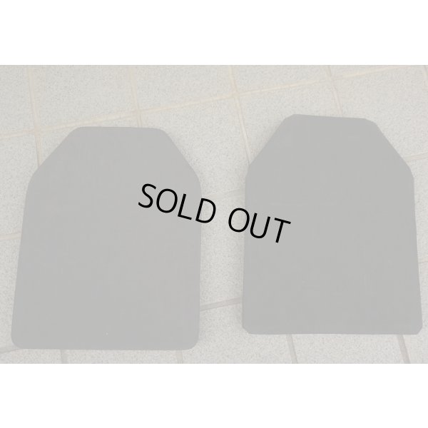 画像2: SAPI・ESAPI風ダミープレート2枚セットMEDIUM