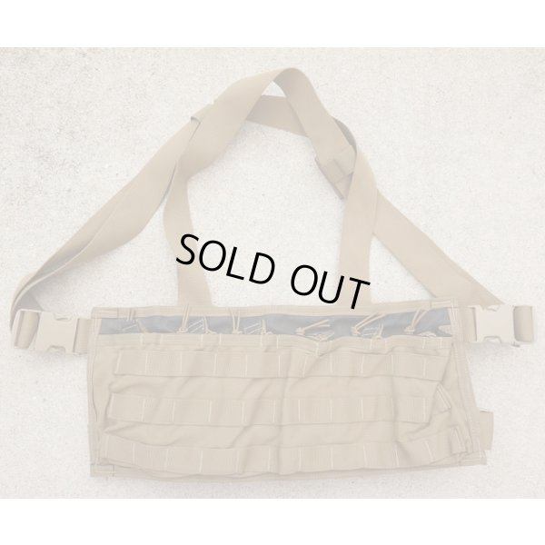 画像1: 米軍放出ダイヤモンドバックLow Vis RACK LV3チェストリグCB(コヨーテブラウン)初期タグ品 新品