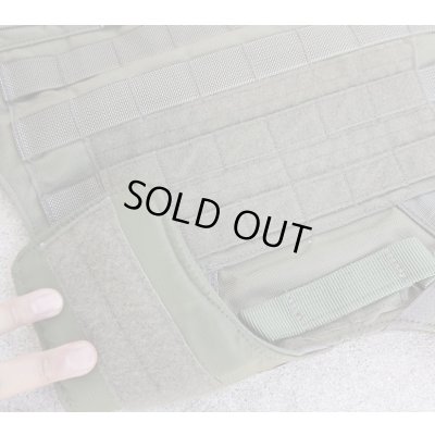 画像5: イーグルLE仕様LAND(MC) CIRASボディアーマーRG新品