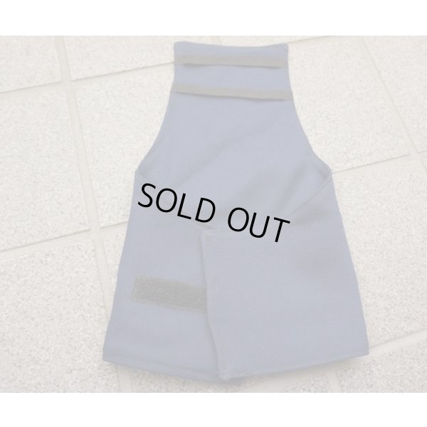 画像2: イラク警察 腕章フセイン政権時代旧国旗付き新品