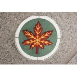 パキスタン軍 陸軍第12歩兵師団部隊章 新品