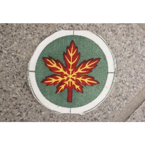 画像1: パキスタン軍 陸軍第12歩兵師団部隊章 新品