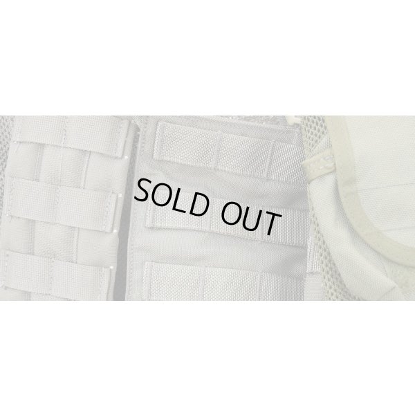 画像6: 米軍イーグルRLCS HハーネスRG新品