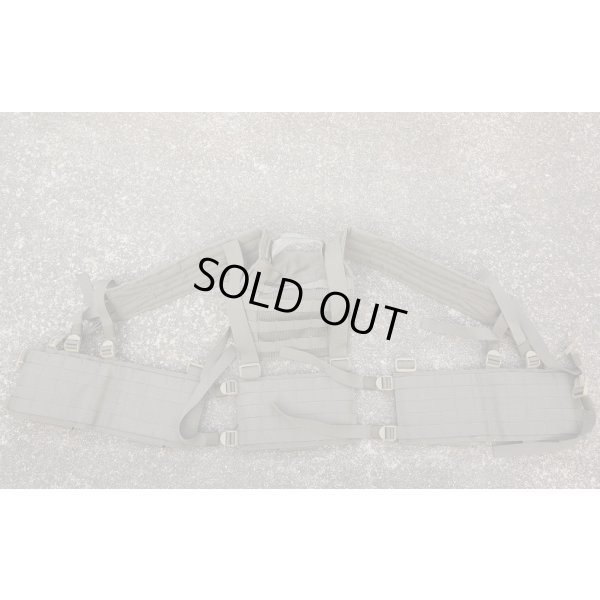 画像3: 米軍イーグルRLCS HハーネスRG新品