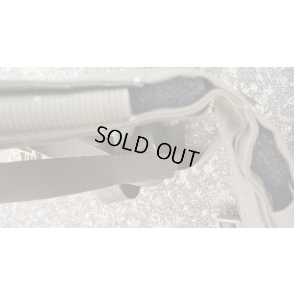 画像5: 米軍イーグルRLCS HハーネスRG新品