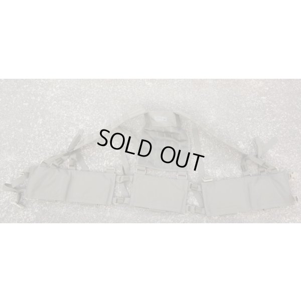 画像2: 米軍イーグルRLCS HハーネスRG新品