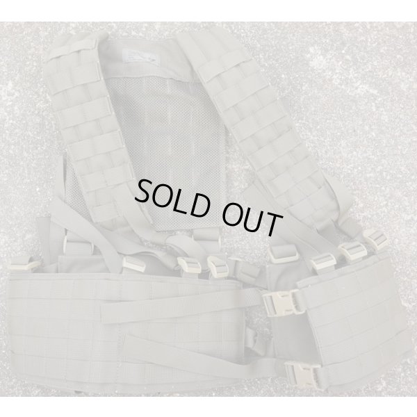 画像1: 米軍イーグルRLCS HハーネスRG新品