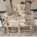 画像5: 米軍SEALsチーム10用S&SプレートフレームAOR1迷彩MEDIUM新品