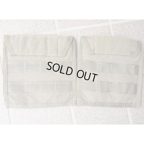 画像1: 米軍アライドMSAPサイドプレートポケット2枚セットRG（アドミンポーチとしても使用可）