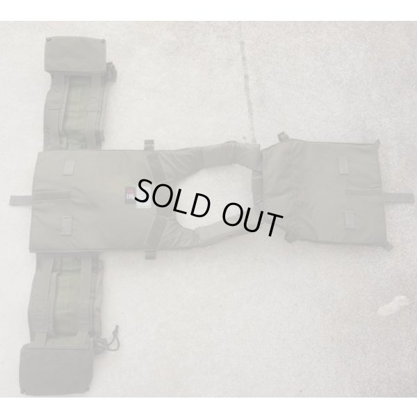 画像3: 米CIA放出LBT-6094A-RSプレートキャリアRG新品