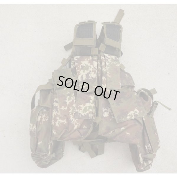 画像1: MIL-TEC SAAVアサルトベスト(P83型アサルトベスト)イタリア軍Vegetato迷彩 新品