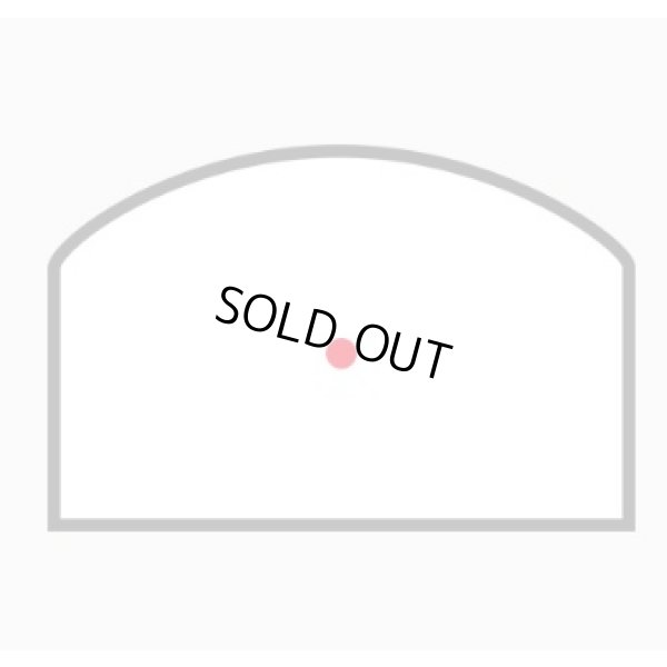 画像3: リューポルドLCOダットサイト新品(お取り寄せ品）