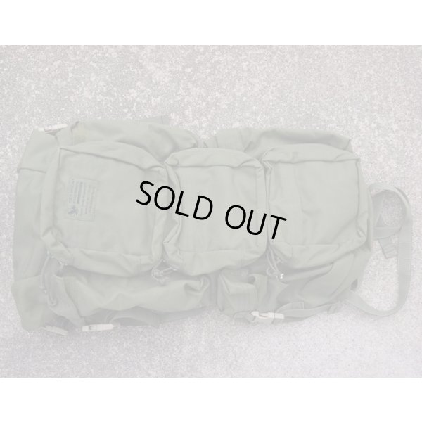 画像1: 米軍NARP CASEVACリッターバッグOD新品