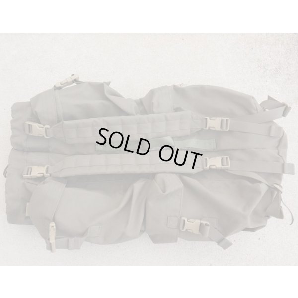 画像2: 米軍イーグルRLCSリッターバッグRG新品