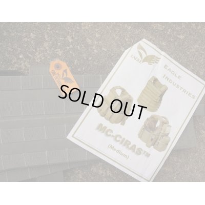 画像3: ベルギー警察特殊部隊用イーグルLAND (MC) CIRASボディアーマーFR仕様FG MEDIUM新品