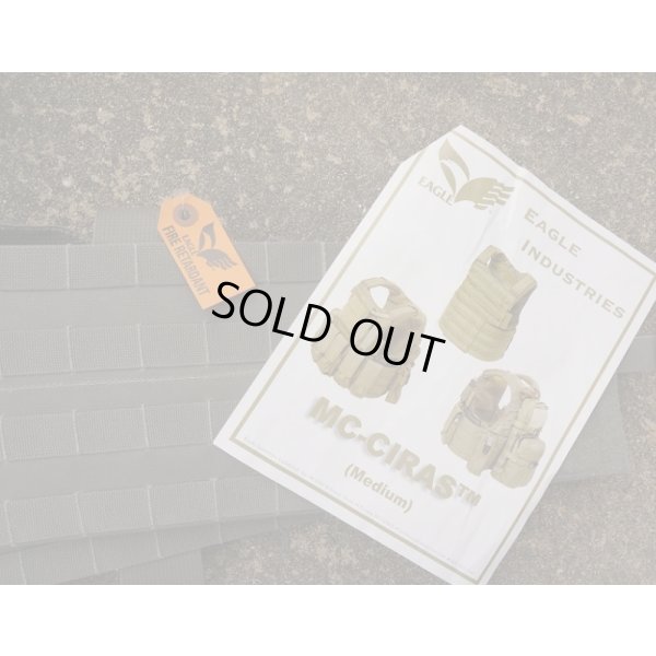 画像3: ベルギー警察特殊部隊用イーグルLAND (MC) CIRASボディアーマーFR仕様FG MEDIUM新品