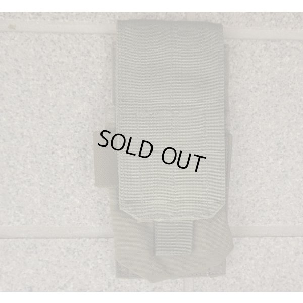 画像1: 米軍イーグルRLCSシングルマガジンポーチRG