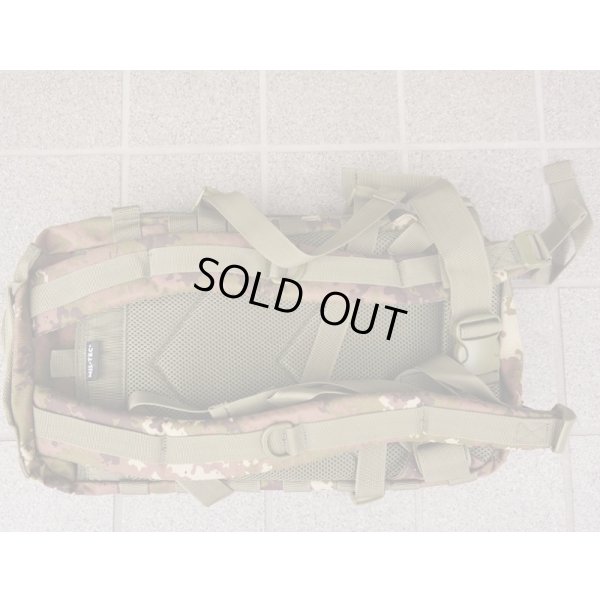 画像2: MIL-TEC USアサルトパック イタリア軍Vegetato迷彩 新品