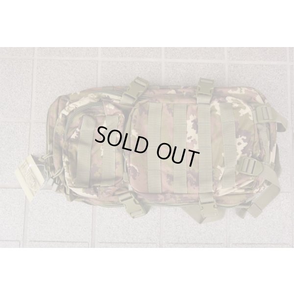 画像1: MIL-TEC USアサルトパック イタリア軍Vegetato迷彩 新品